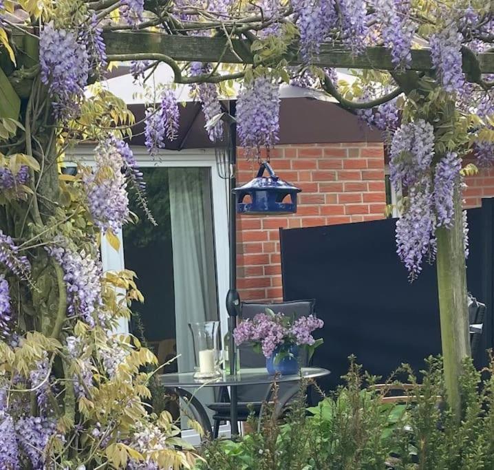 Ferienwohnung Bina Surwold 外观 照片